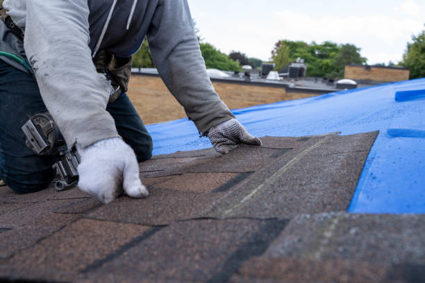 Best Flat Roof Repair Services  in Rainbow Lakes Estates, FL