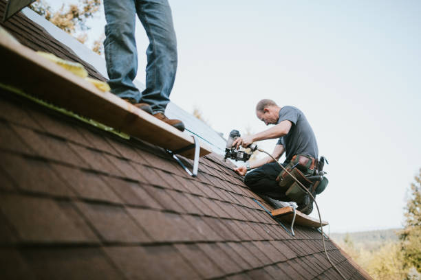 Best Shingle Roofing Installation  in Rainbow Lakes Estates, FL